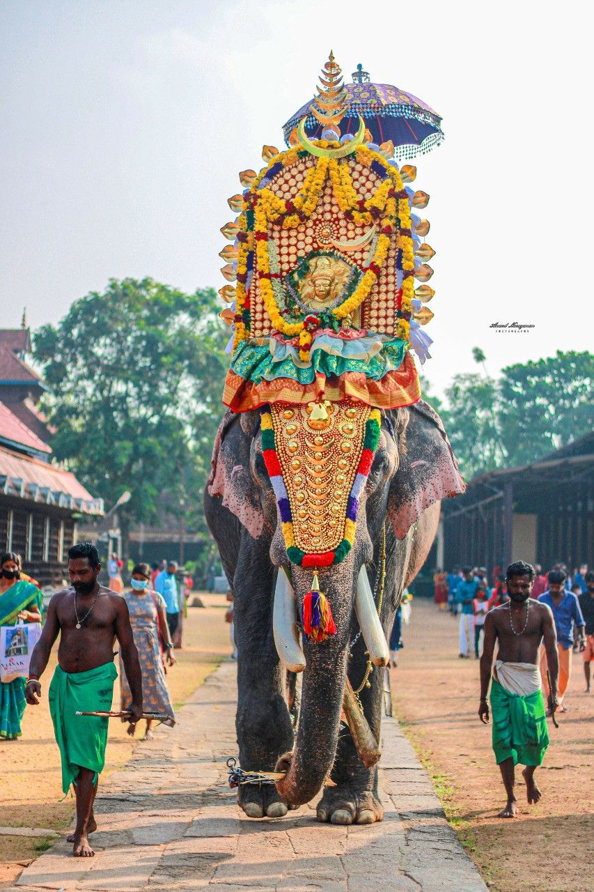 Kovalam Beach